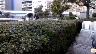 手机国产精品三级网,成人视频高清免费观看